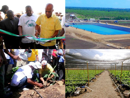 President plant de eerste bananenstruik op 11 oktober 2014 in Trou du Nord (foto Haïti Libre)
